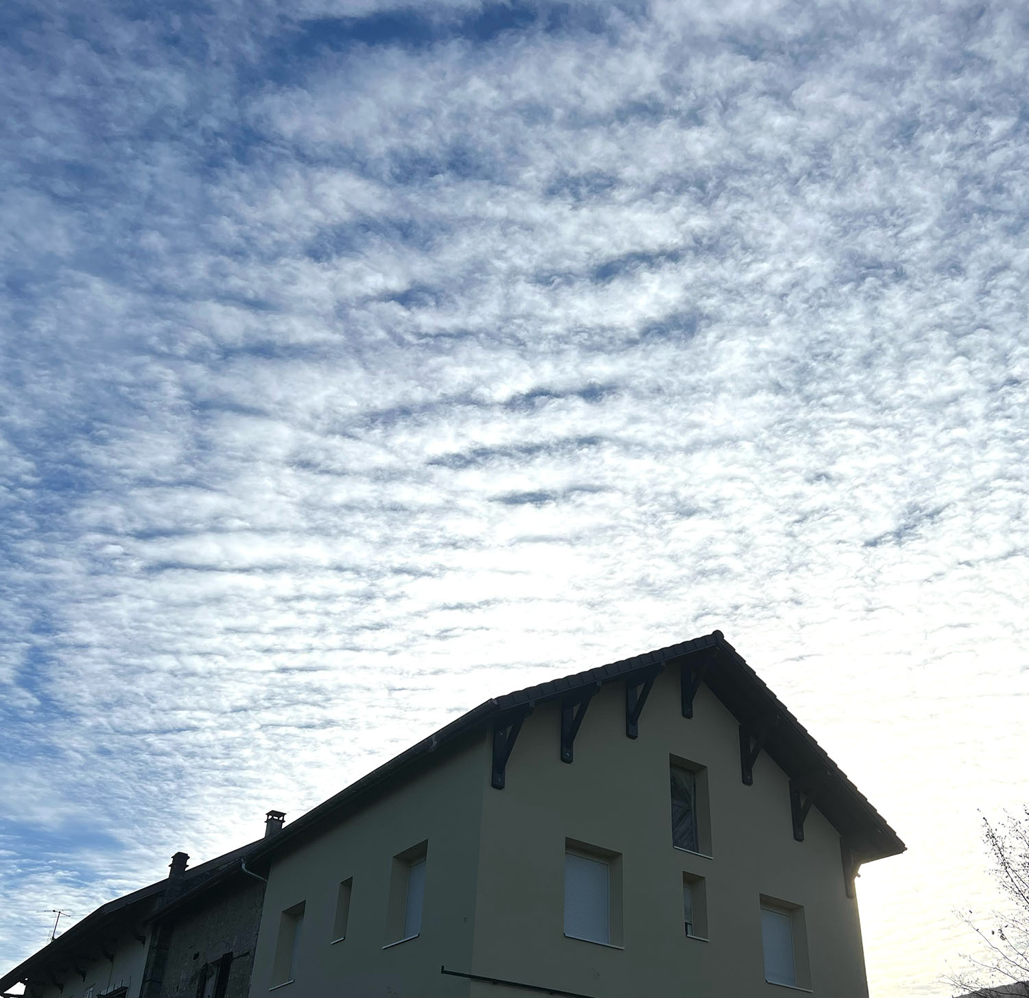 Construction de charpente à Seyssel